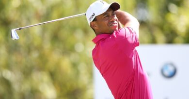 Tiger woods