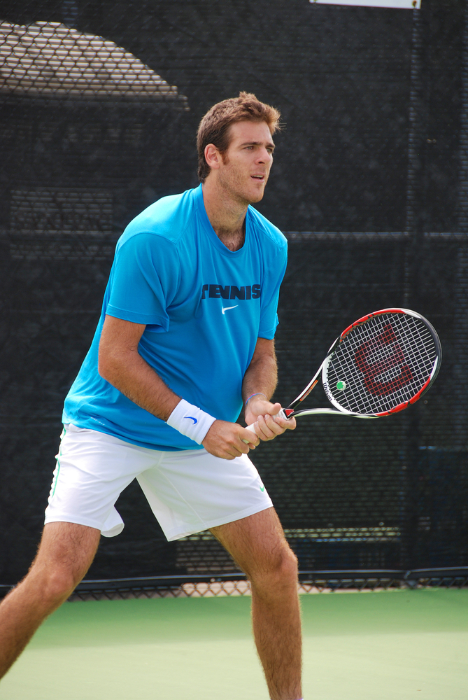 Juan Martín del Potro