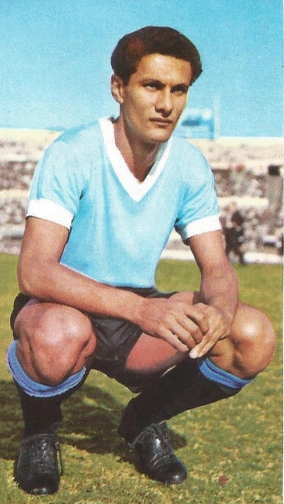 Pedro_Rocha