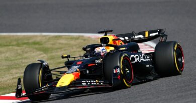 red bull rb20