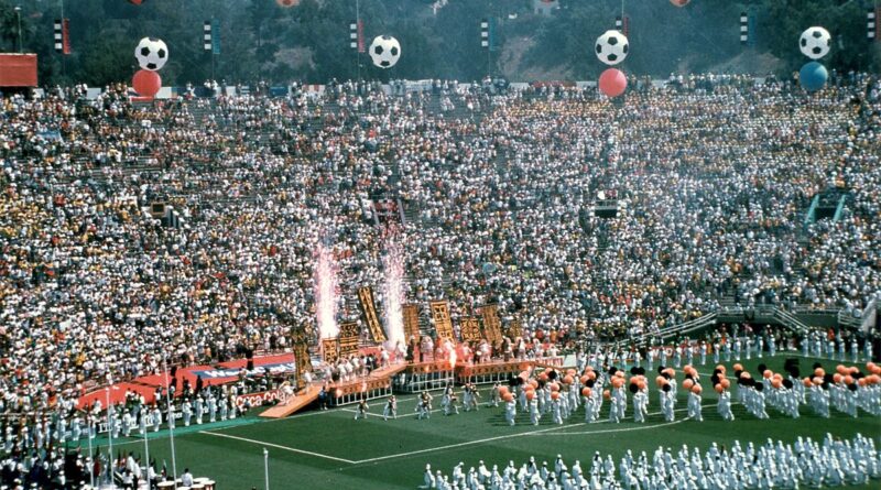 1994 World Cup Football USA