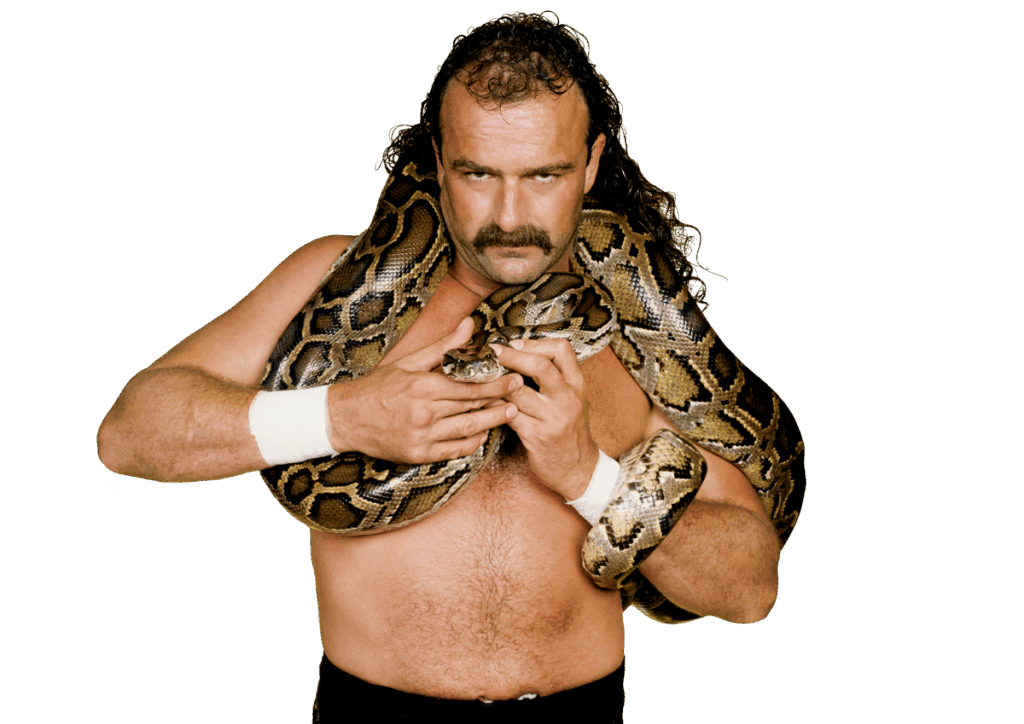 Jake “The Snake” Roberts