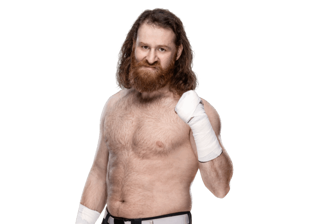 Sami Zayn