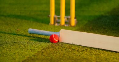 cricket