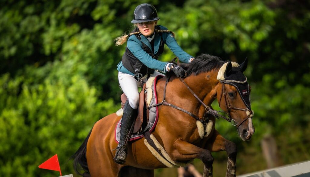 equestrian