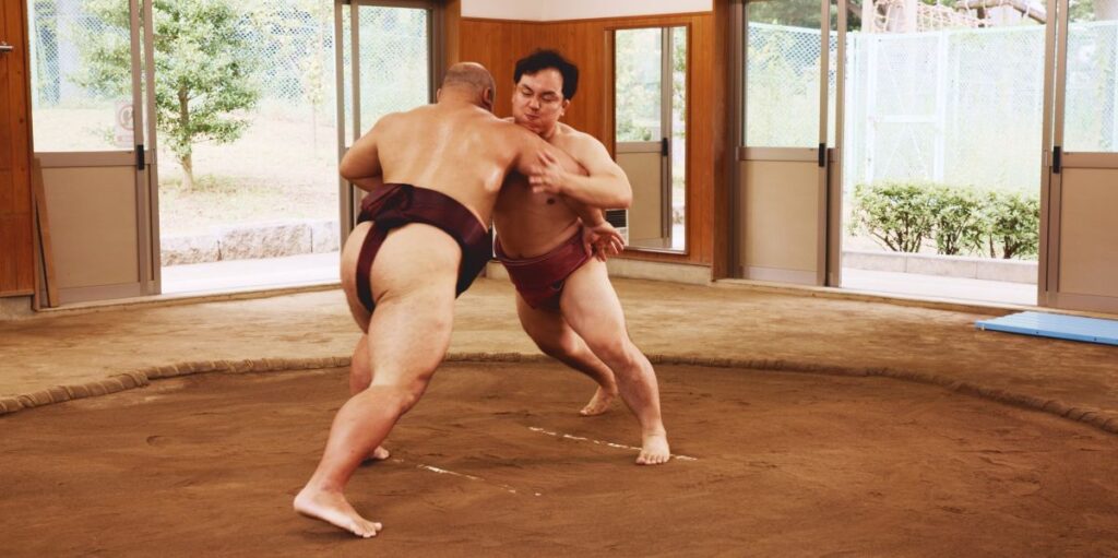 sumo