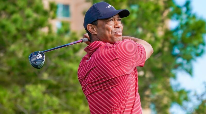 tiger woods