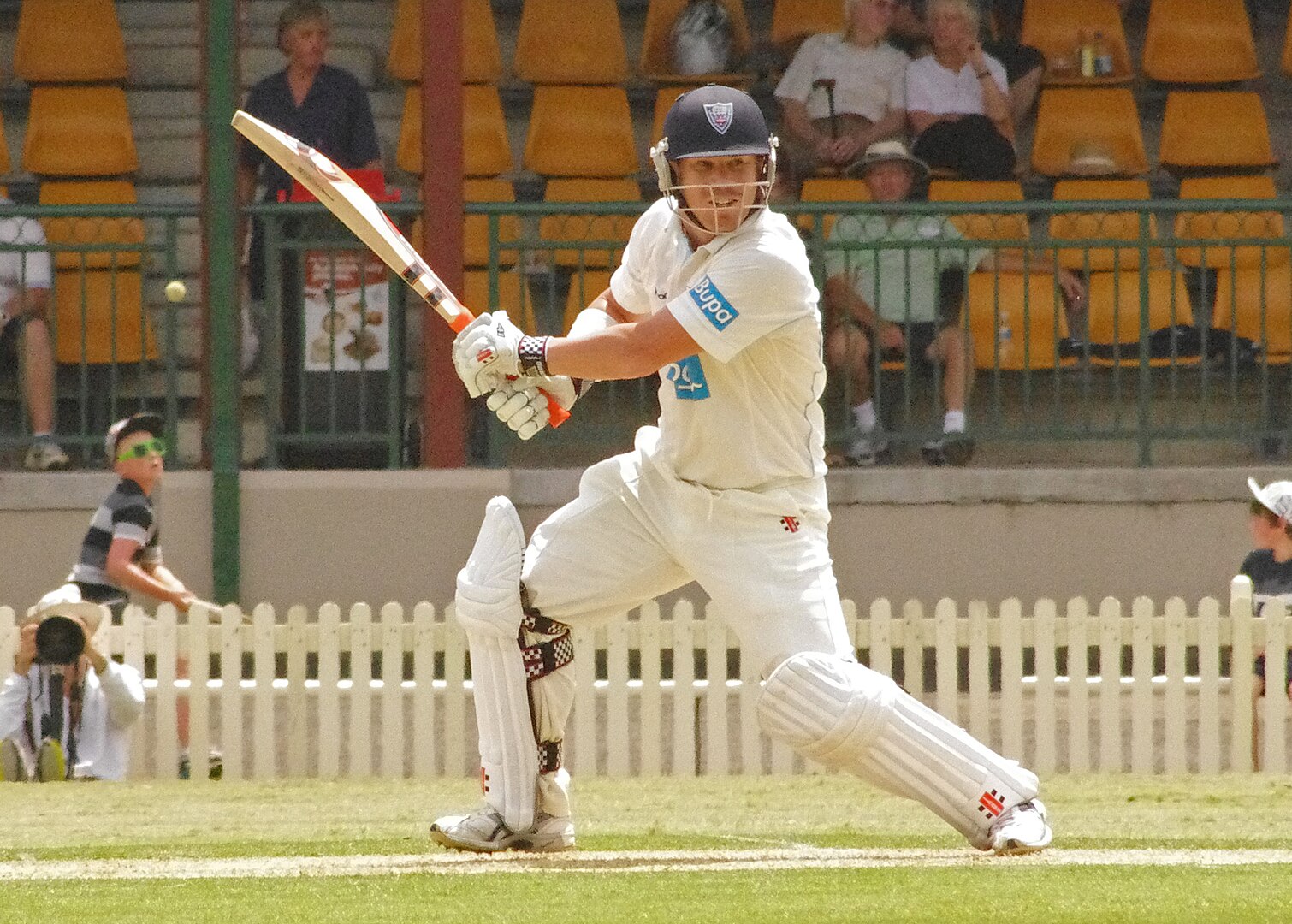 David Warner