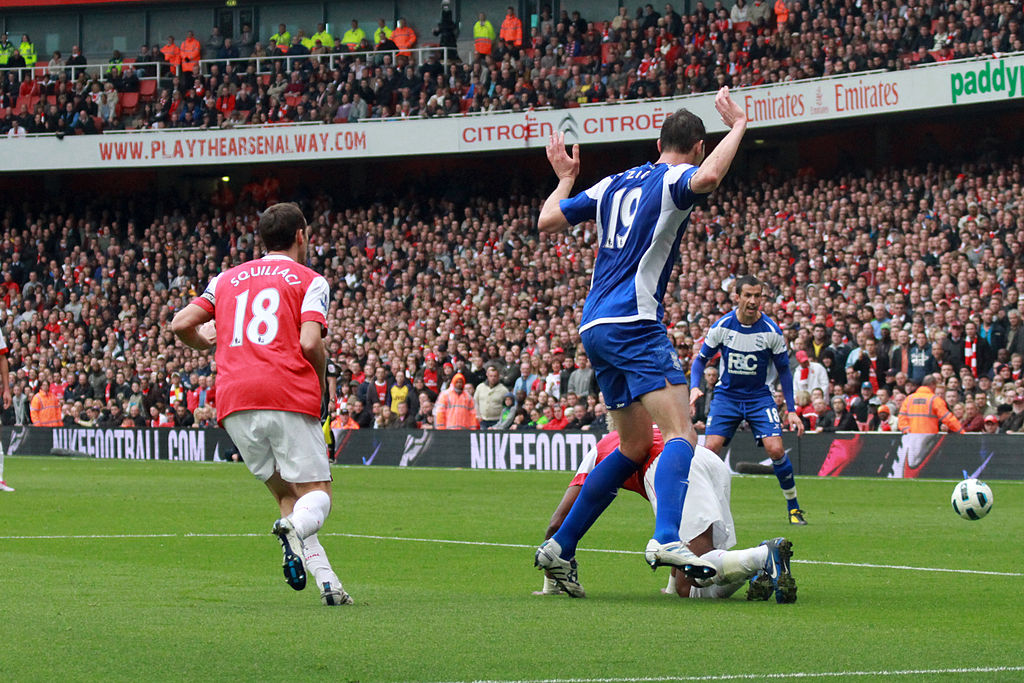 Nikola Zigic