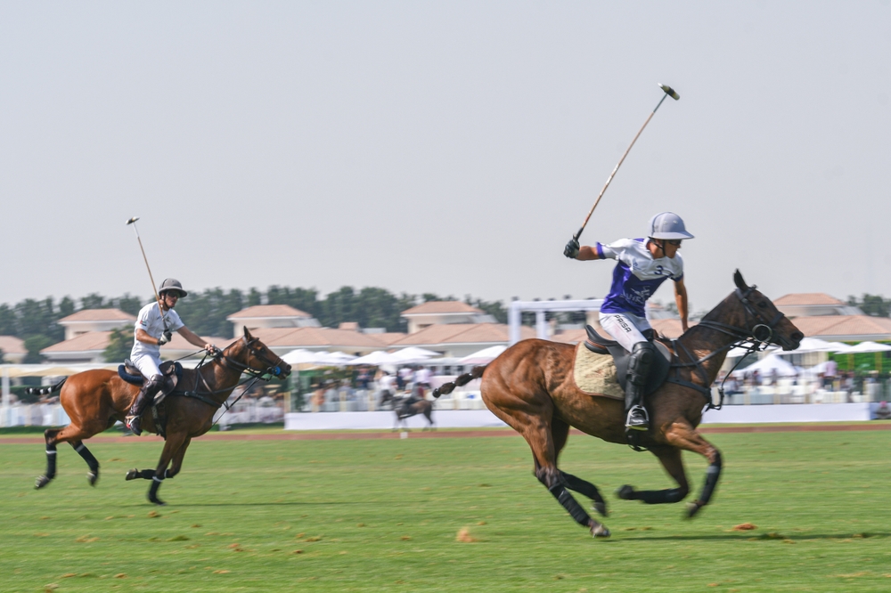 Polo