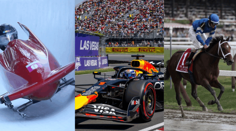 bobsledding, formula 1, horse racing