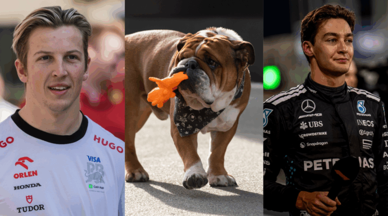 Liam Lawson, Roscoe( lewis Hamilton), Geroge Rusell