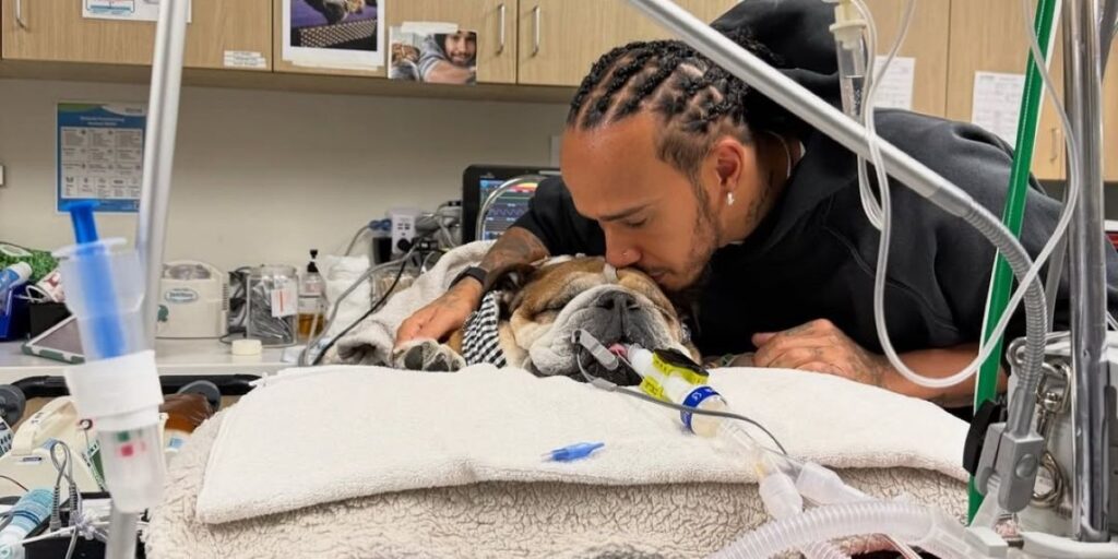 Lewis Hamilton und Roscoe