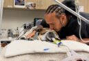 Lewis Hamilton og Roscoe