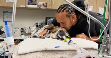 Lewis Hamilton og Roscoe
