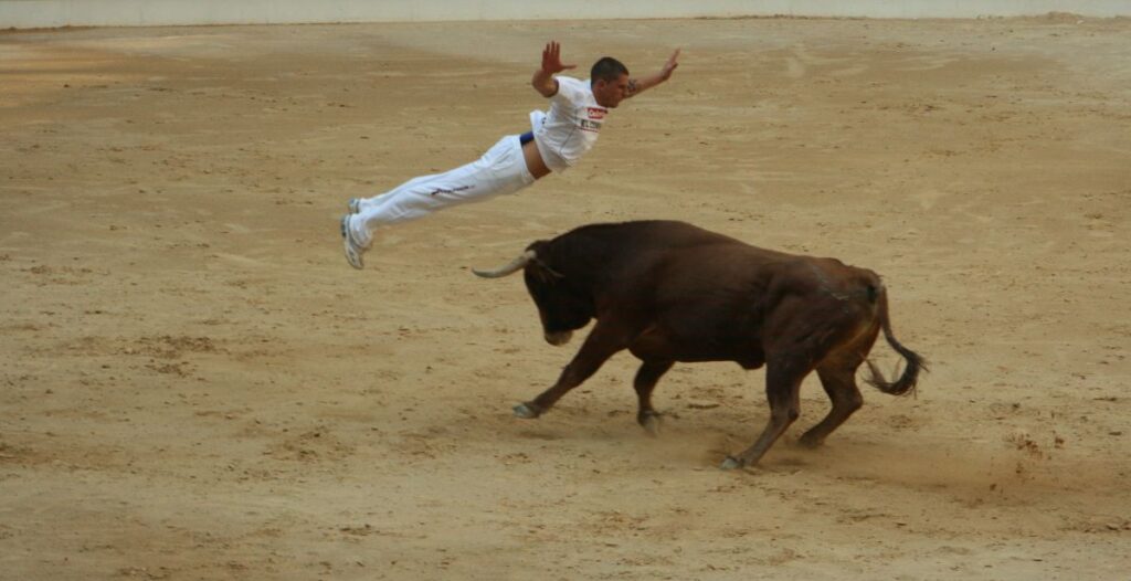 Bull Leaping