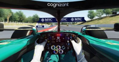 Fernando Alonso Cockpit View
