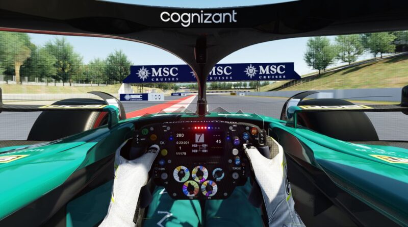 Fernando Alonso Cockpit View