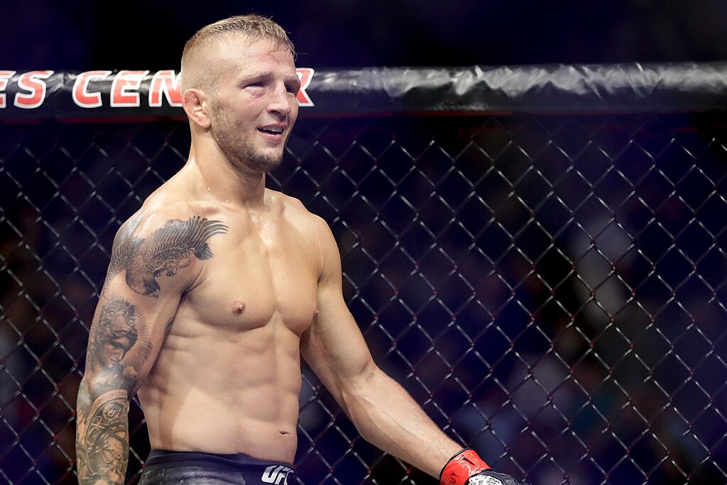t.j. dillashaw