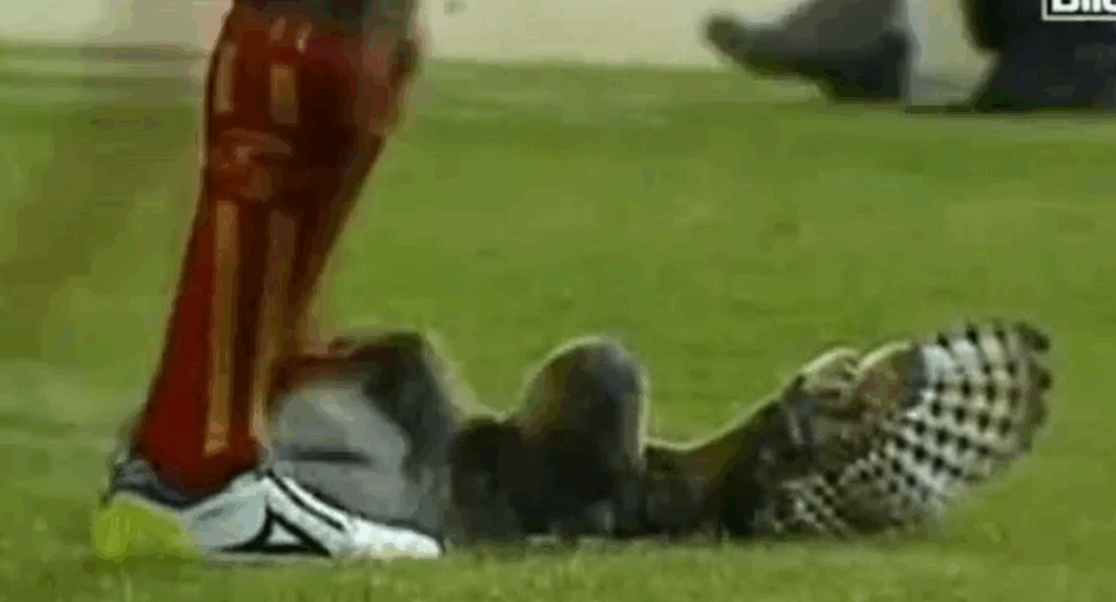 Luis Moreno kicking owl