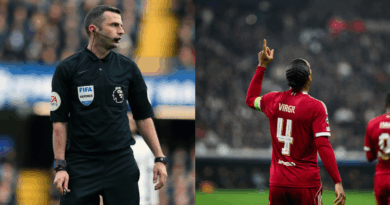 Michael Oliver, Virgil Van Dijk