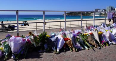 Bondi Beach Shooting