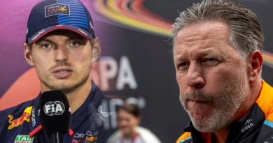 Zak Brown, Max Verstappen