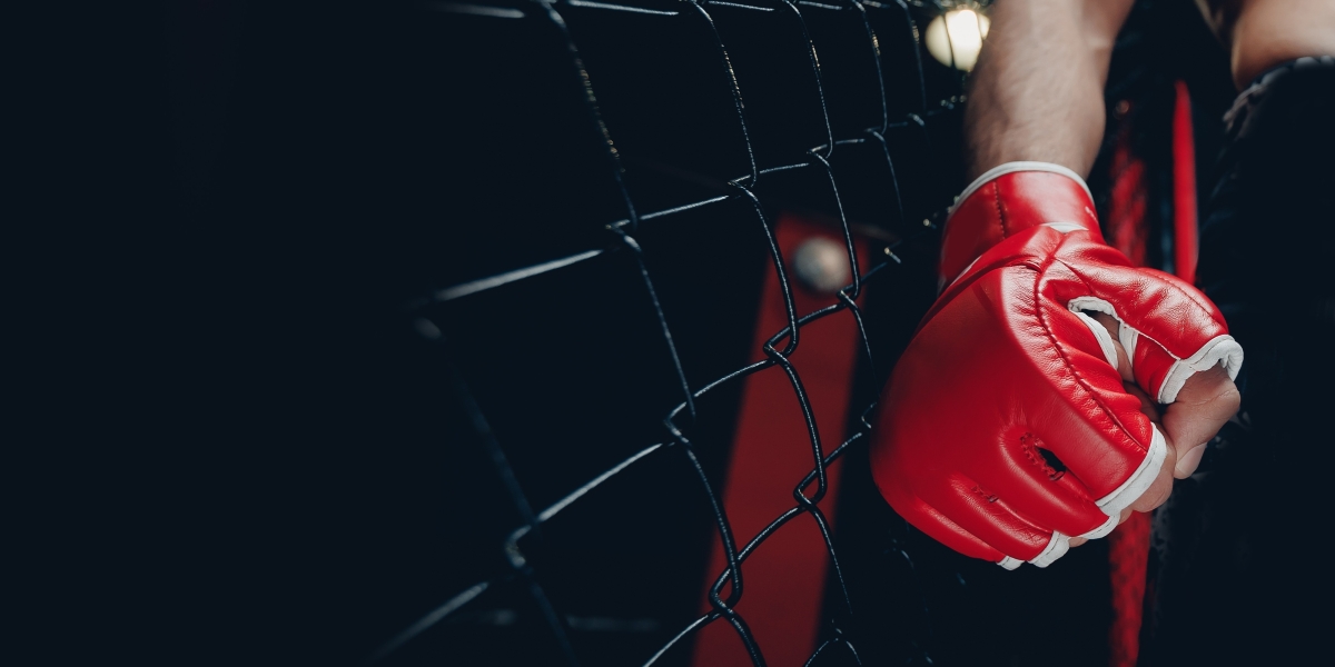 Un combattant de MMA jugé pour meurtre