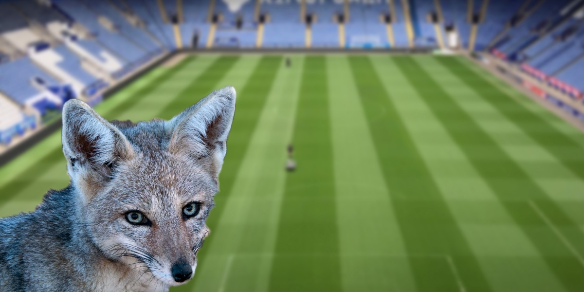 Leicester City relegated to 3rd Division on their 10th year anniversary of Premier League champions