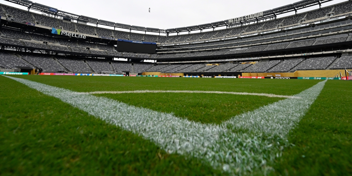 FIFA puts World Cup final grass on sale for up to $3,000
